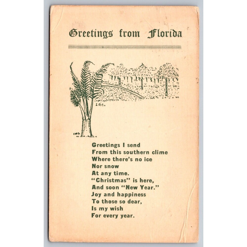 Postcard Greetings from Florida Posted 1921 Stamp Poem about No Snow Palm Tree
